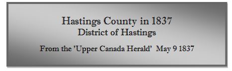 HastingsDistrict.JPG